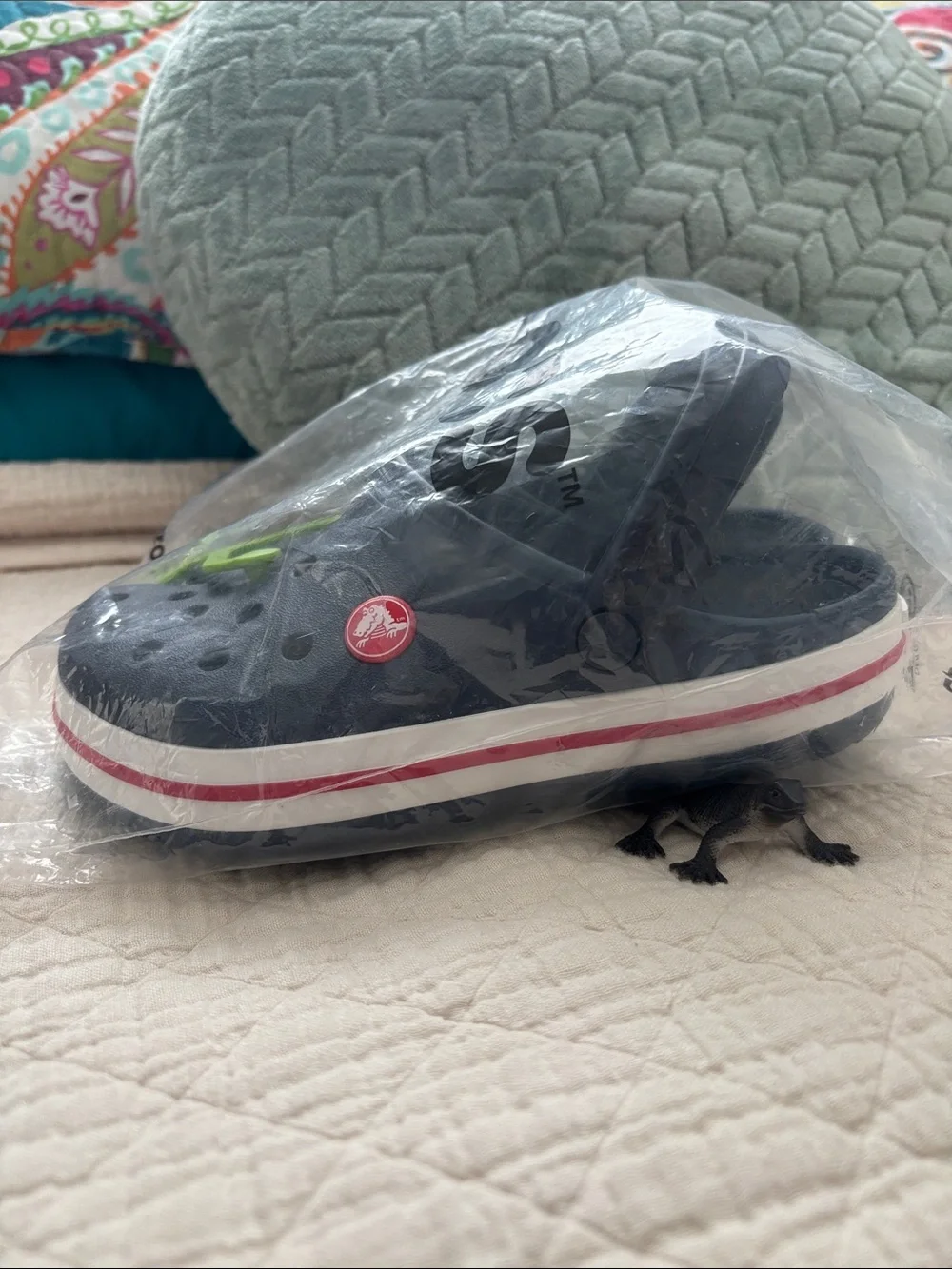 CROCS new packaging